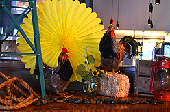 AMBER BBQ AND HOE DOWN